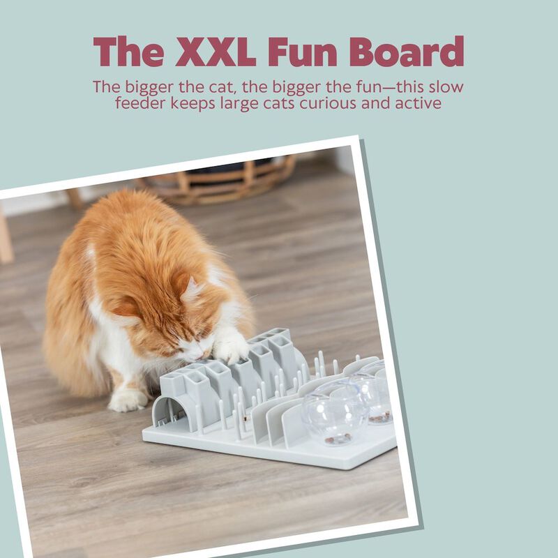 TRIXIE Fun Board XXL Strategy Game for Cats, Treat Puzzle Toy, Interactive Play, White image number 5