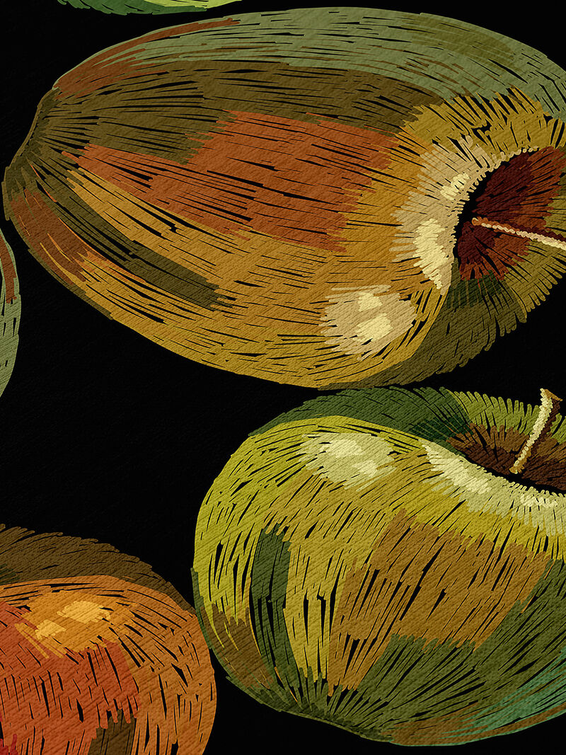 Kendall KE8 Collection