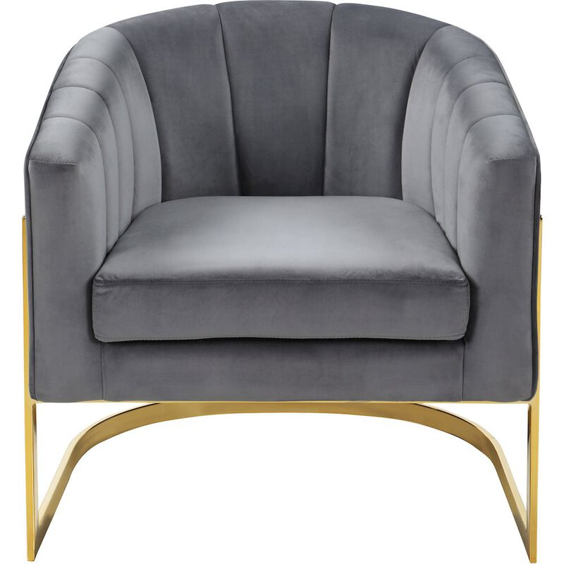 Meridian Furniture Carter Grey Velvet Accent Chair