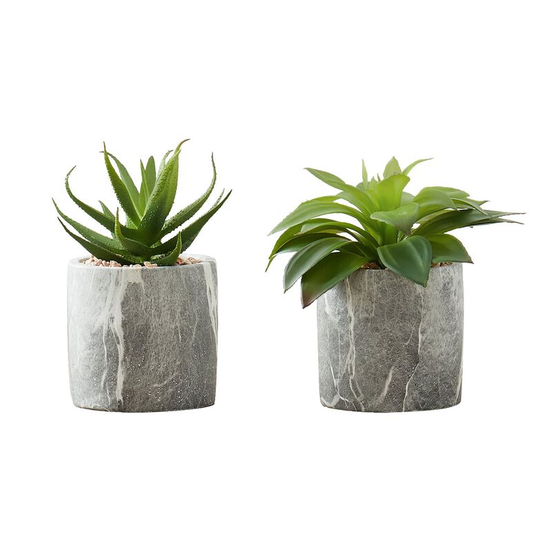 Monarch Specialties I 9586 - Artificial Plant, 6" Tall, Succulent, Indoor, Faux, Fake, Table, Greenery, Potted, Set Of 2, Decorative, Green Leaves, Grey Cement Pots image number 0