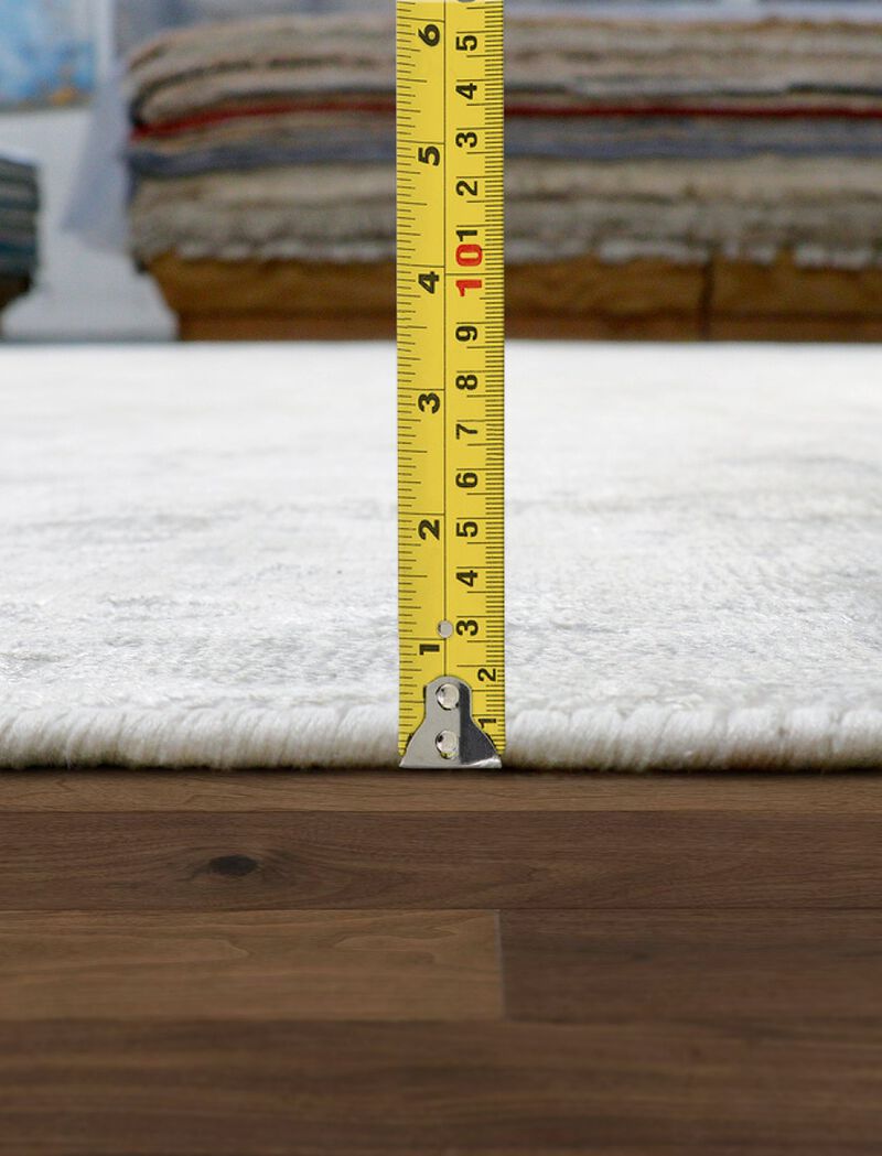 Pasargad Home Beverly Hand-Loomed Bamboo Silk Area Rug image number 4