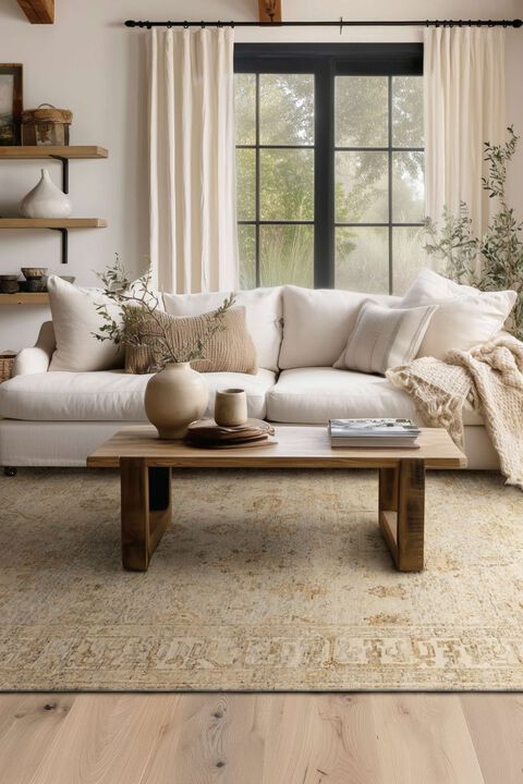 Sundar Dayalu Silver 6' x 9' Rug