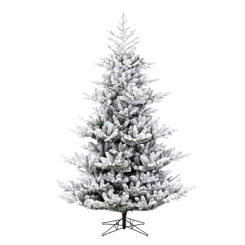 Flkd Hudson Fraser Fir image number 0