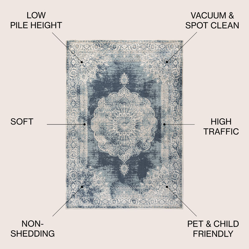 Kelly Rosalia Cottage Medallion Area Rug