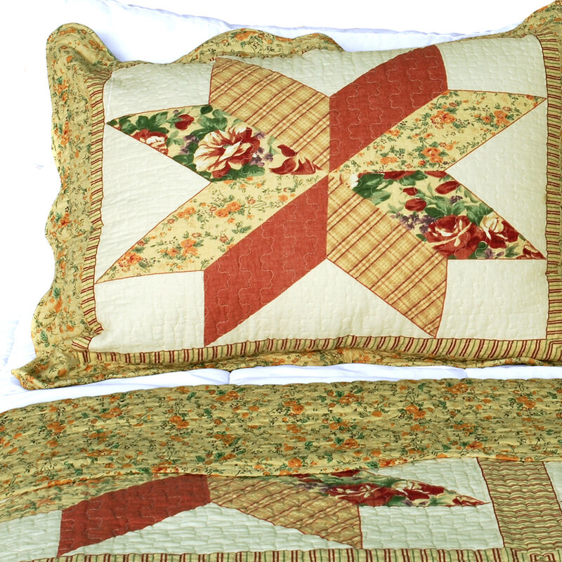 Queen Size Cotton 3-Piece Quilted Printed Quilt Set with Matching Pillow Shams image number 2
