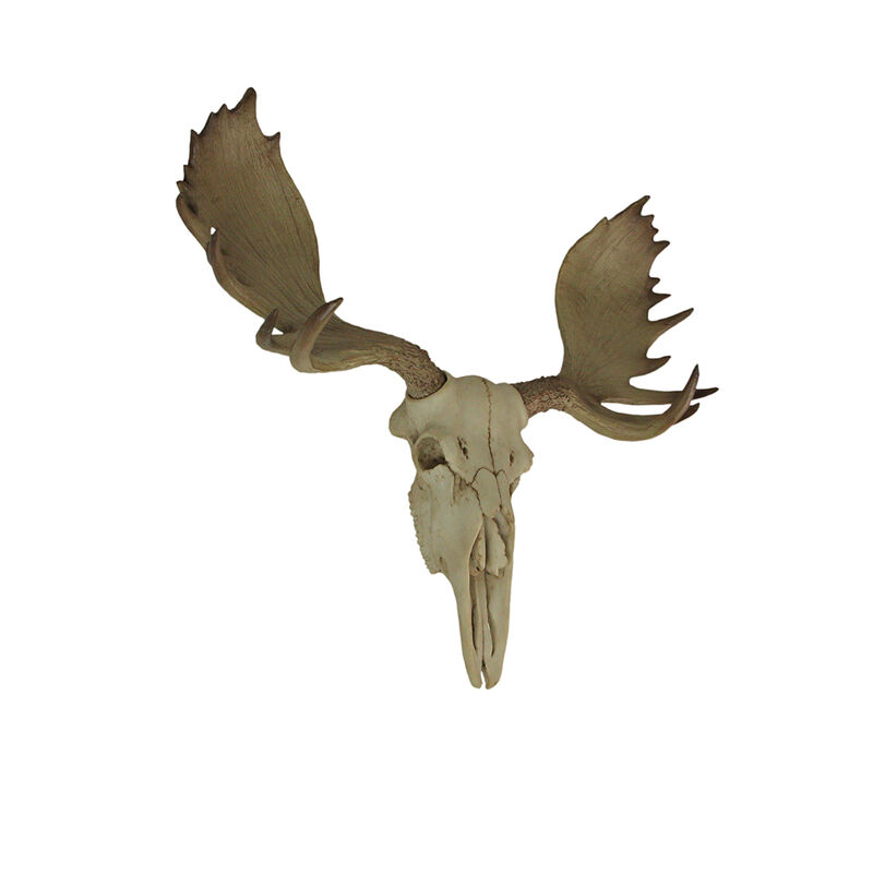 Large Lifelike Bull Moose Skull Hanging Wildlife Decor Statue image number 1