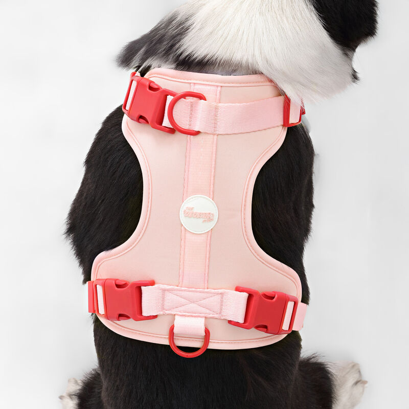 Arlo Adjustable Soft Padded No Pull Pet Harness with 3 Buckles and 3 Leash Clips