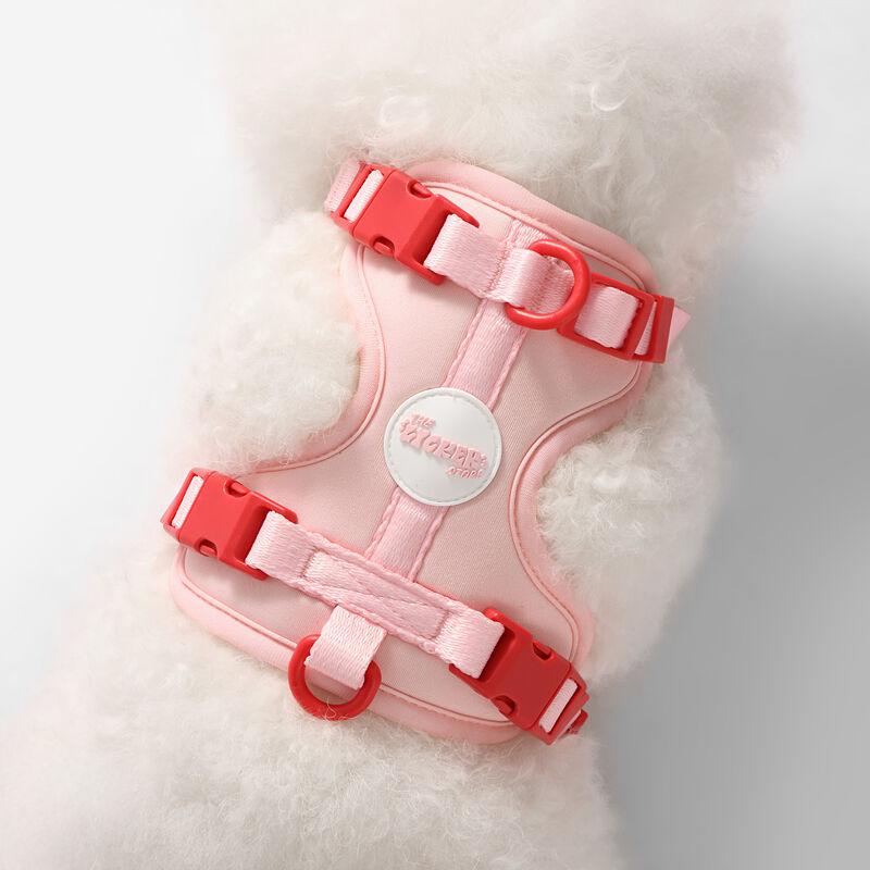 Arlo Adjustable Soft Padded No Pull Pet Harness with 3 Buckles and 3 Leash Clips