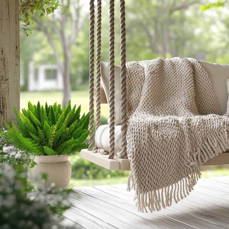 Foxtail Fern (Asparagus densiflorus) in 3 Gallon Nursery Pot 1 ‑Pack image number 7