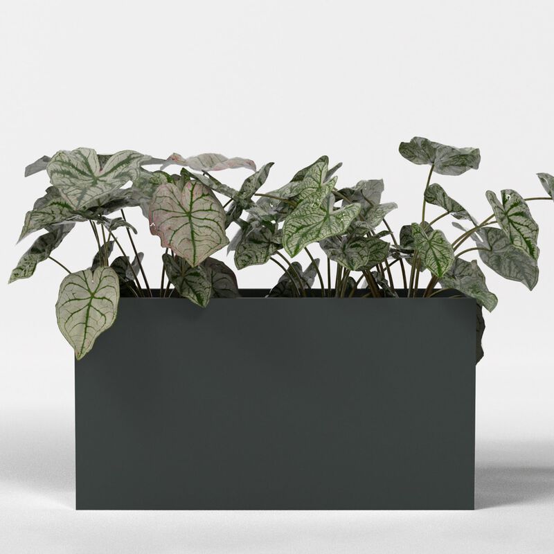 Greenline Fiberglass Alice Extra Large Indoor/Outdoor Rectangle Planter.