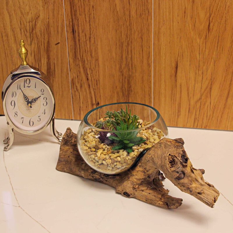 Melted Glass On Teak Driftwood Decorative Bowl/Vase/Terrarium Planter 6 Inch image number 7