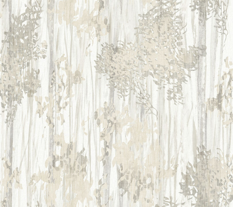 Aspen Grove Grey Wallpaper