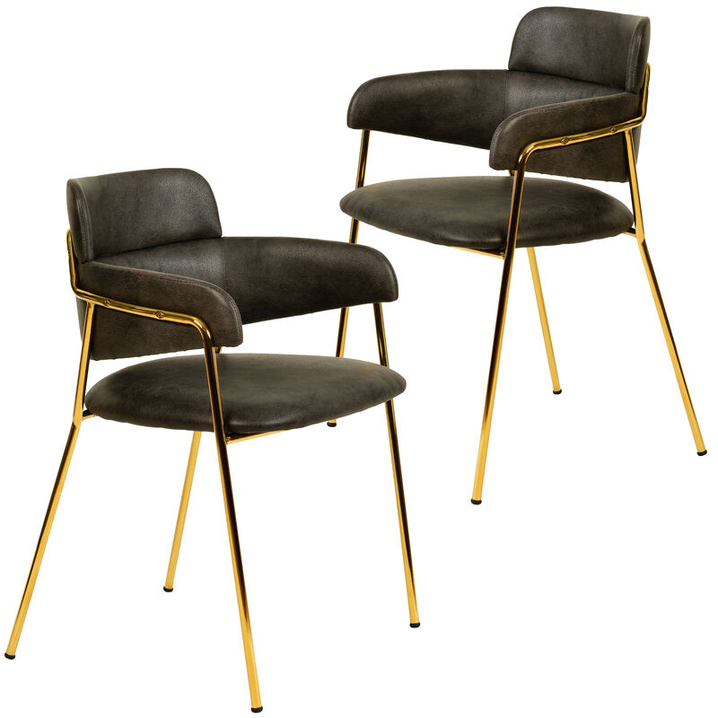 Axis Upholstered Dining Chairs Curved Open-Back & Gold Legs Set of 2 in