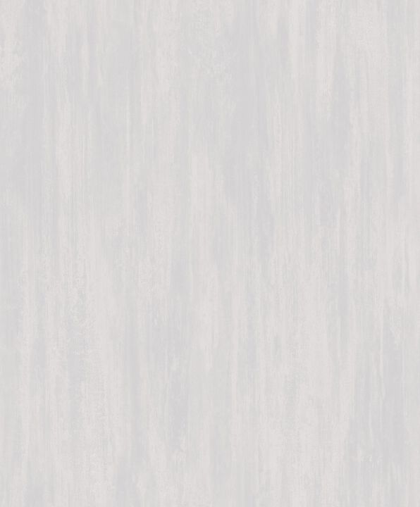 Secret Garden Wispy Texture Silver Grey Wallpaper G78536