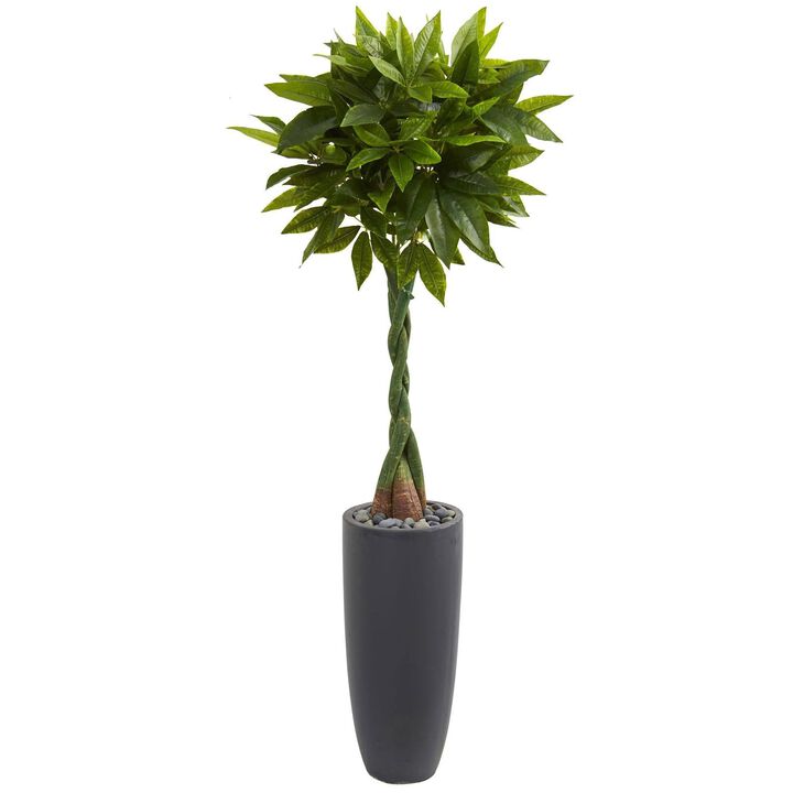 Nearly Natural 5.5-in Money Artificial Tree in Cylinder Planter (Real Touch)