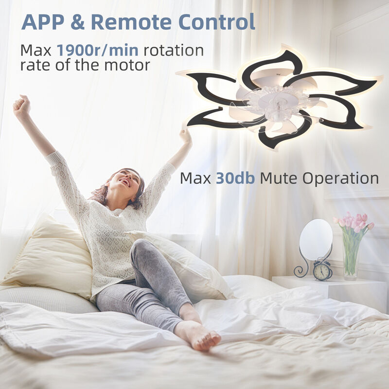 ELEMENT ACE Modern Ceiling Fan with Remote Control, 6 Speed Settings and Adjustable Lighting image number 5