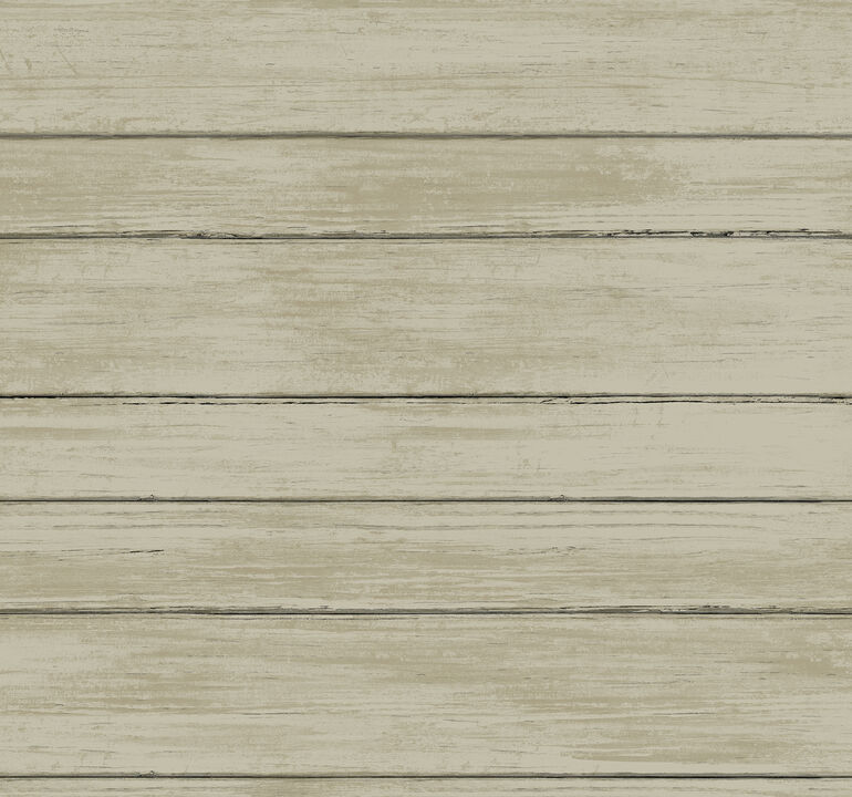 Broad Side Beige Wallpaper