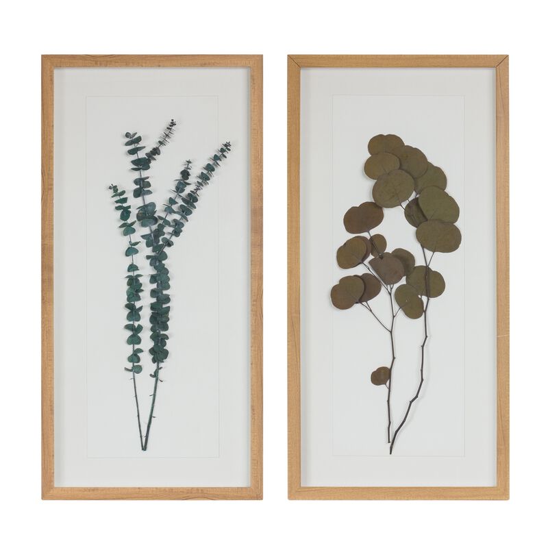 Framed Foliage Decorative Wall Art for Home or Nature-Inspired Decor (Set of 2)