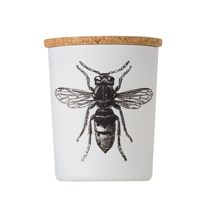 Candle in Jar INSECT 190gr CALABRONE 3.35 diam. x 4.13 in