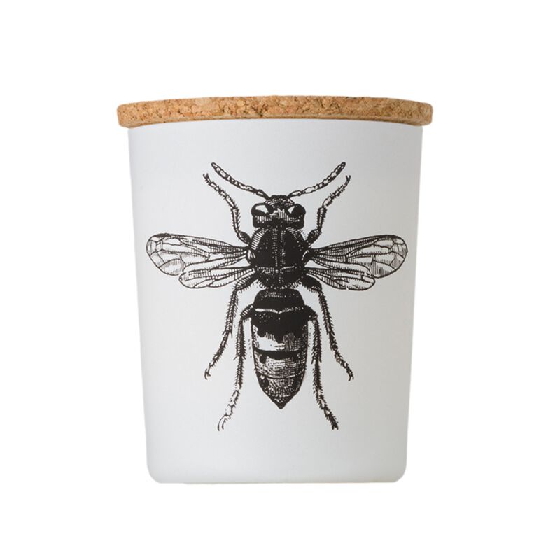 Candle in Jar INSECT 190gr CALABRONE 3.35 diam. x 4.13 in image number 1