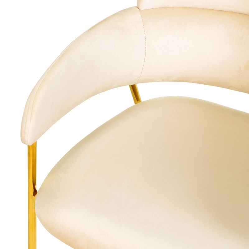 Axis Upholstered Dining Chairs Curved Open-Back & Gold Legs Set of 2 in