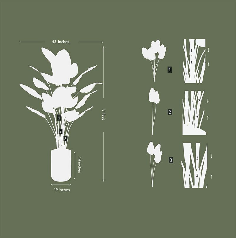 8' Bird of Paradise Tree in Modern Gray Planter image number 5