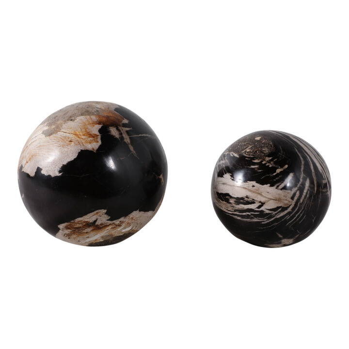 S/2 5/6" Petrified Wood Orbs