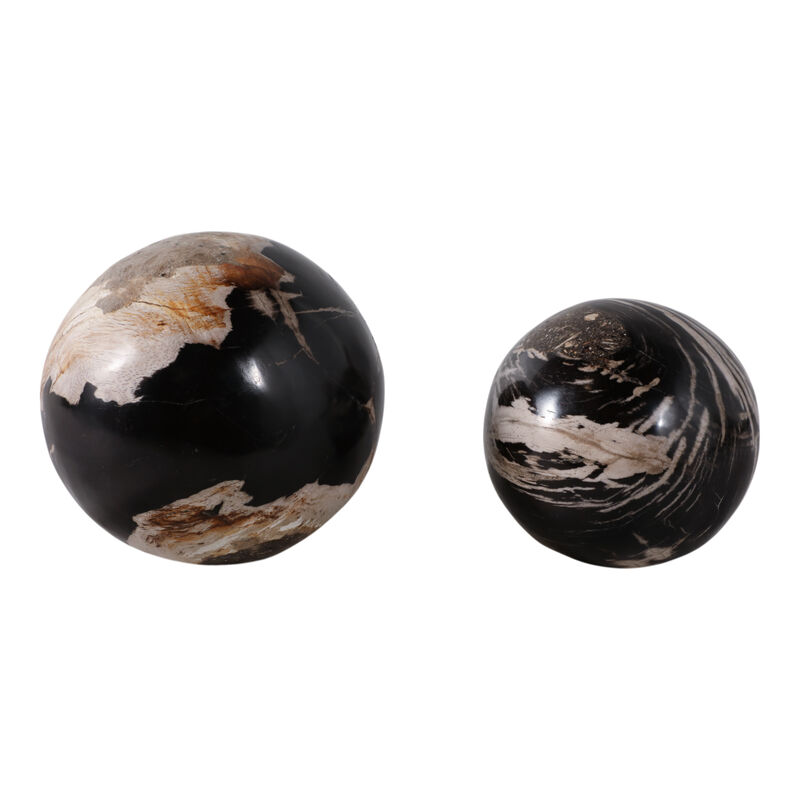 S/2 5/6" Petrified Wood Orbs image number 1