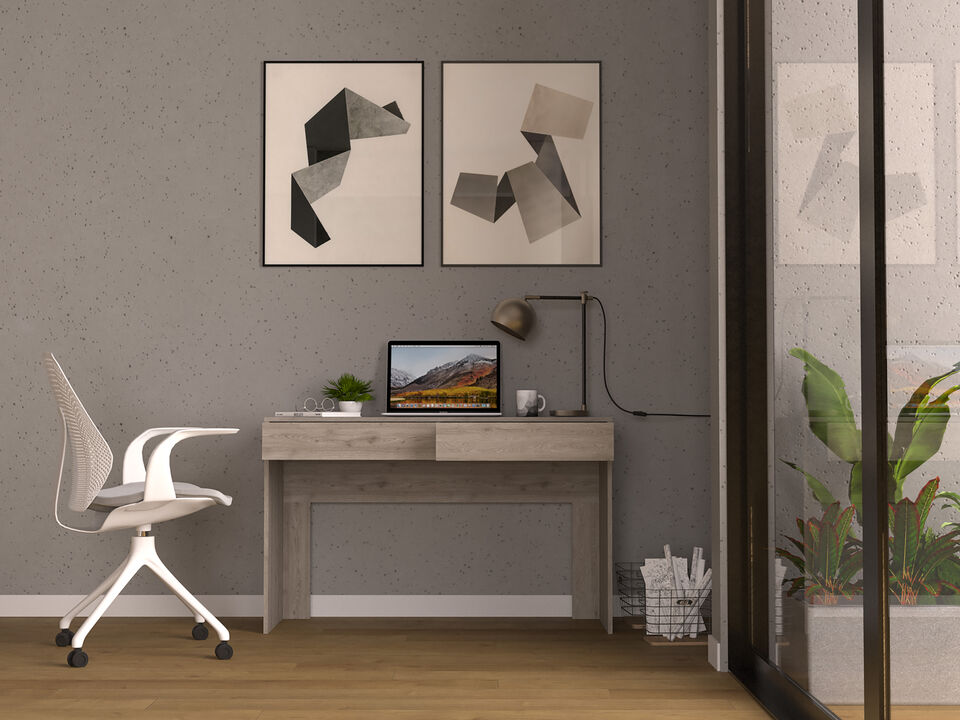 DEPOT E-SHOP Acanto 2 Drawer Writing Computer Desk, Light Gray