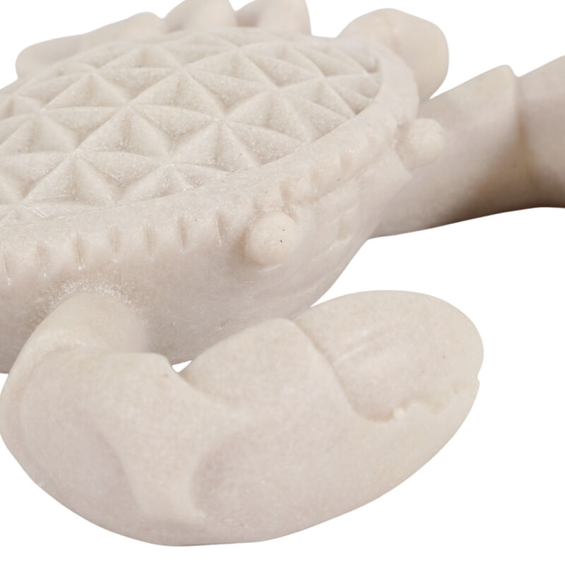 7x9x2 Resin Sand Crab Natural image number 5
