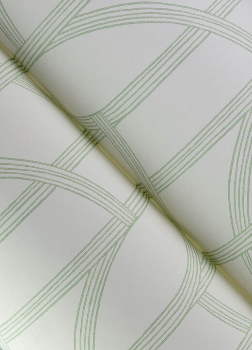Salvo Green Curved Contours Wallpaper