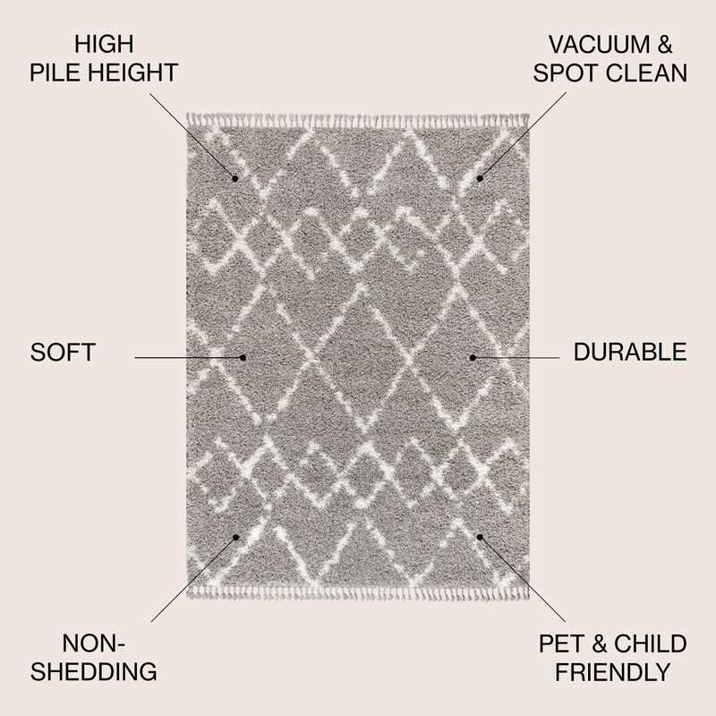 Mercer Shag Plush Tassel Moroccan Tribal Geometric Trellis Area Rug