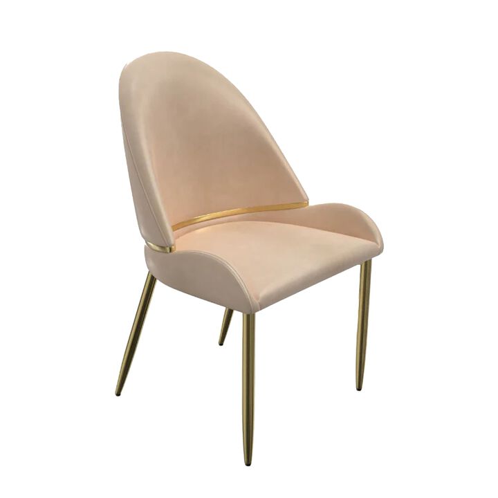 Mior Dining Chair Set of 2, Champagne Faux Leather, Gold Metal Accents
