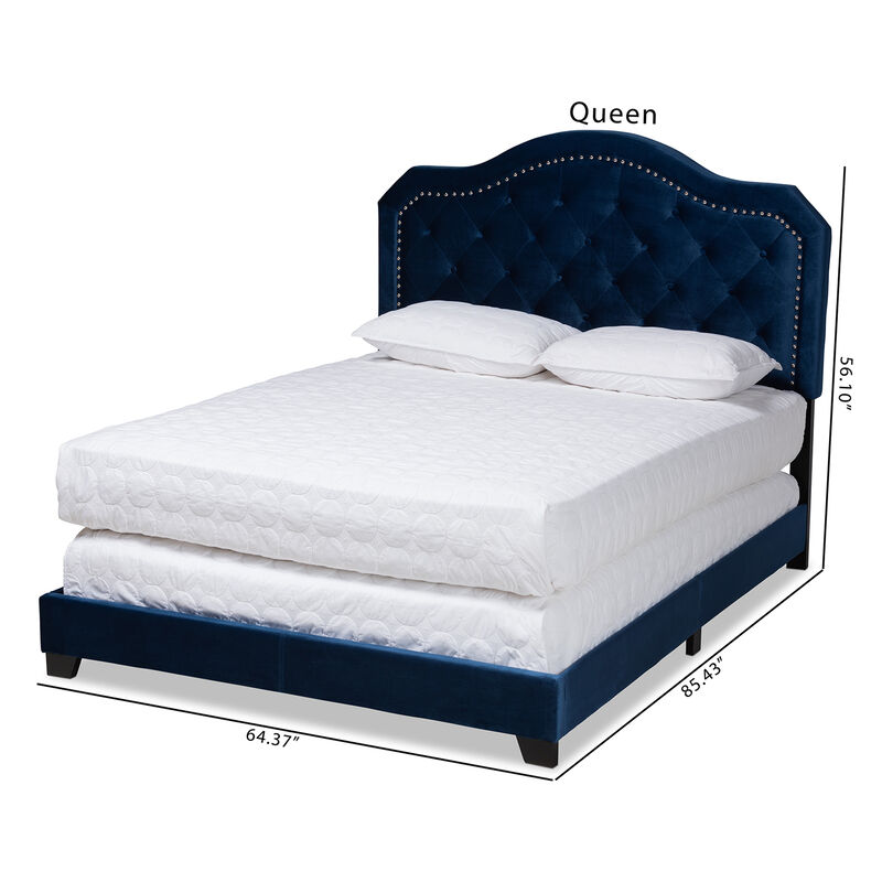 Baxton Studio Samantha Modern Navy Velvet Fabric Upholstered Queen Size Button Tufted Bed