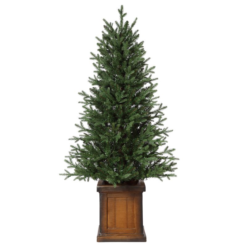 4.5 Foot New Haven Fraser Fir Potted Tree image number 2