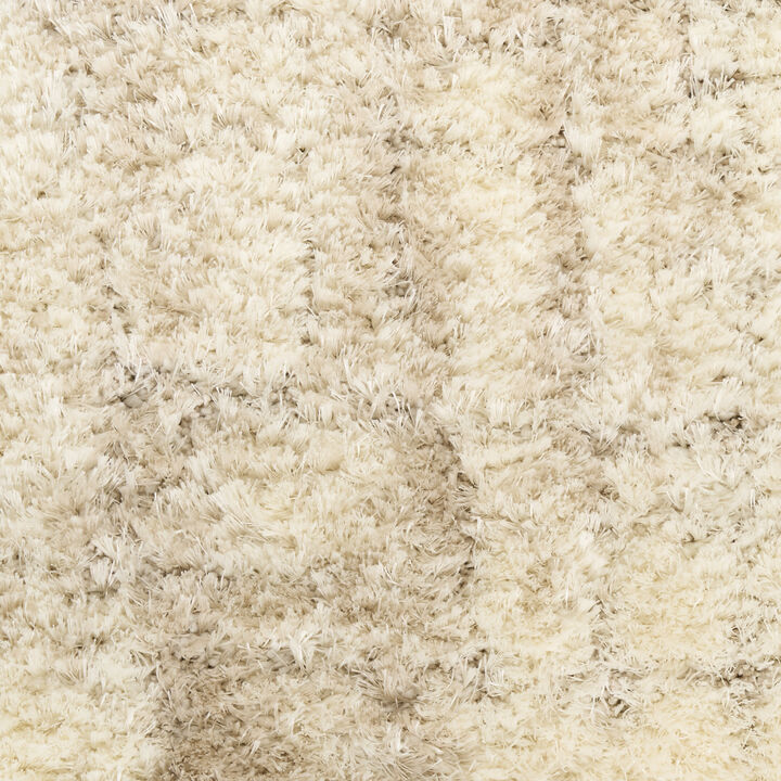 HomeRoots Abstract Shag Area Rug