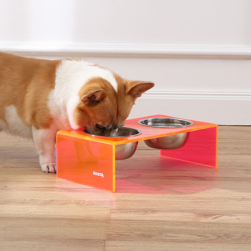 Keaton Modern Acrylic Rectangular Elevated Pet Feeder with Stainless Steel Bowls