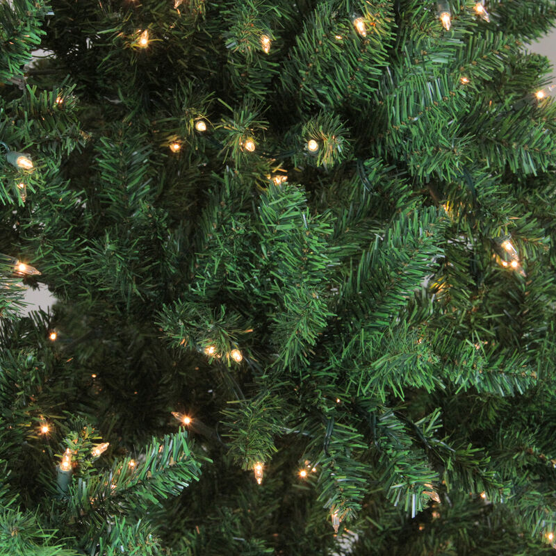 9.5' Pre-Lit Full Buffalo Fir Artificial Christmas Tree - Clear Lights