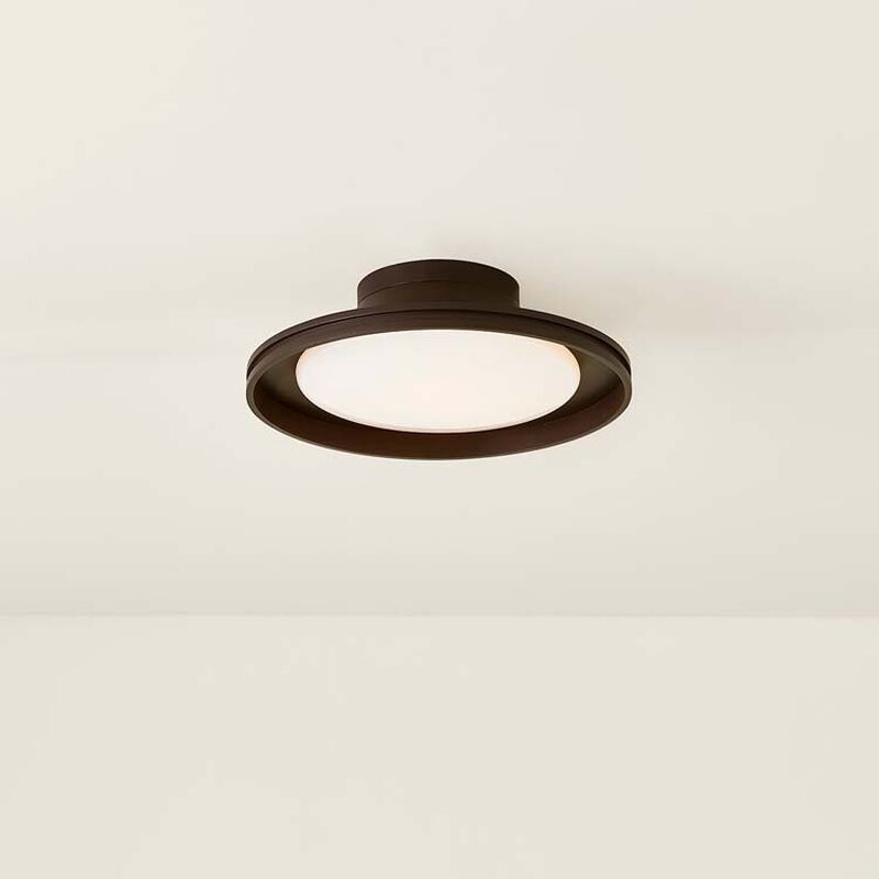 Cannes Exterior Flush Mount image number 1