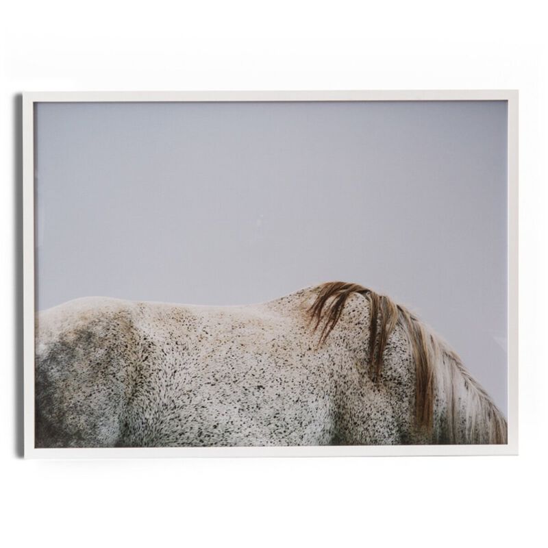 Graze image number 0