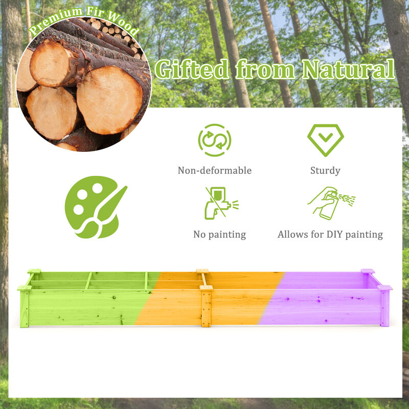 Raised Garden Bed with 2 Planter Boxes and Dividers for Organized and Efficient Outdoor Gardening