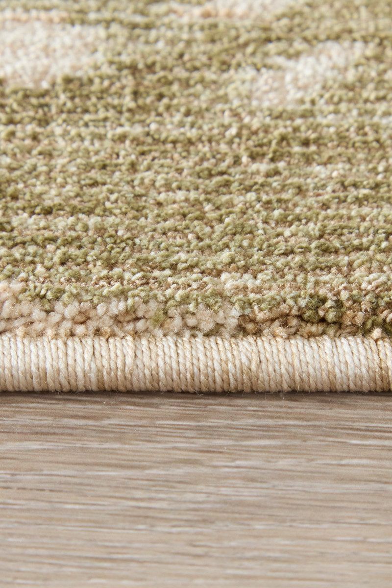 Pearson 39SRF Beige/Green 9' x 12' Rug image number 8