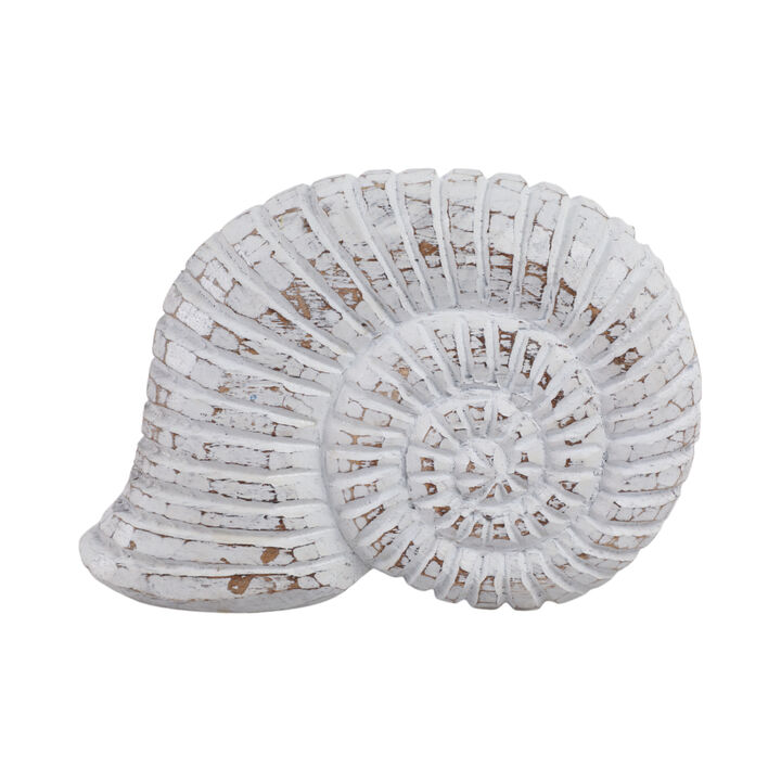 9" Wooden Snail Decor, Wht