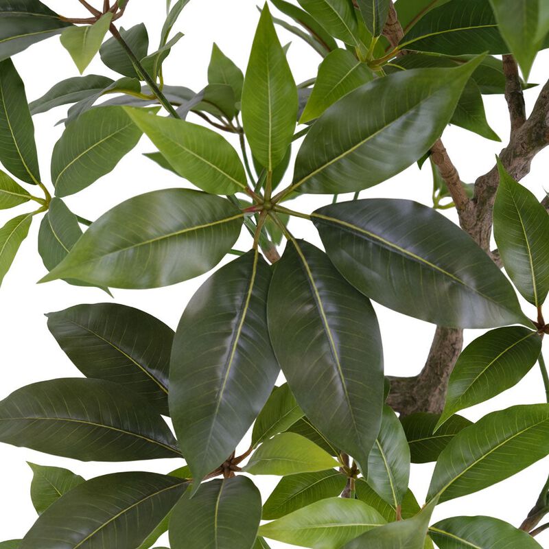 7' Faux Potted Money Tree image number 1