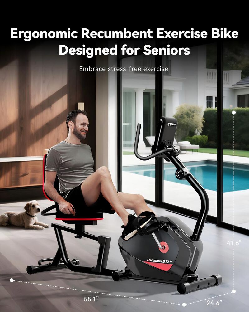 HARISON Recumbent Bike, 400LB Capacity Magnetic Exercise Bike with LCD Monitor & Tablet Holder (HR-B12) image number 3