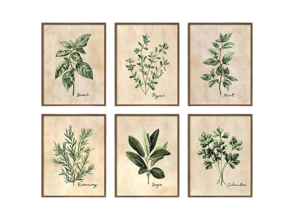 Framed Sage Green Botanical Wall Art 6 Piece Herb Canvas Decor for Living Room