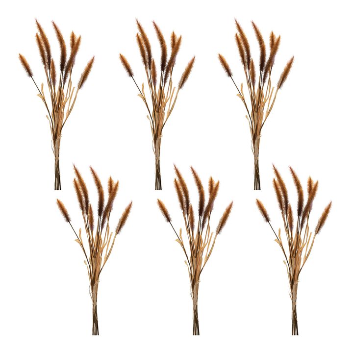 Rustic Fall Foxtail Grass (6-Pack) – Artificial Harvest Grass Picks for Mantels, Centerpieces, or Entryway Styling