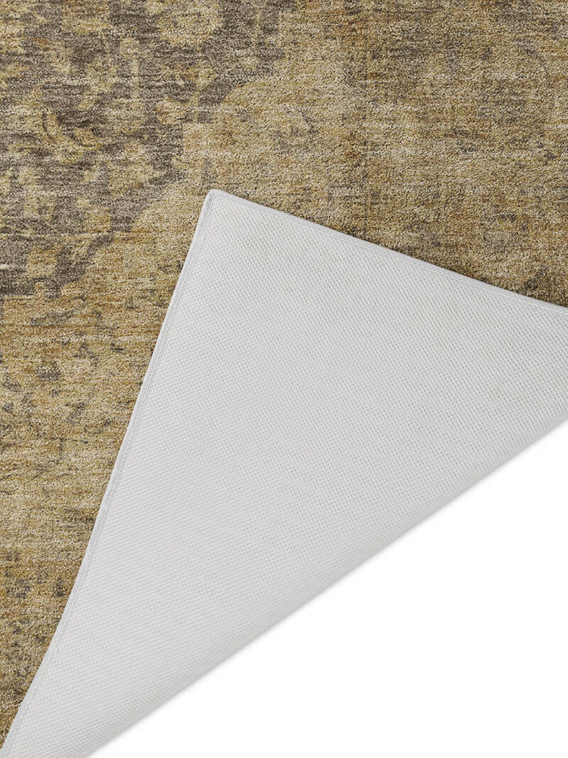 Tabrook TB13 Mocha 30" x 46" Rug