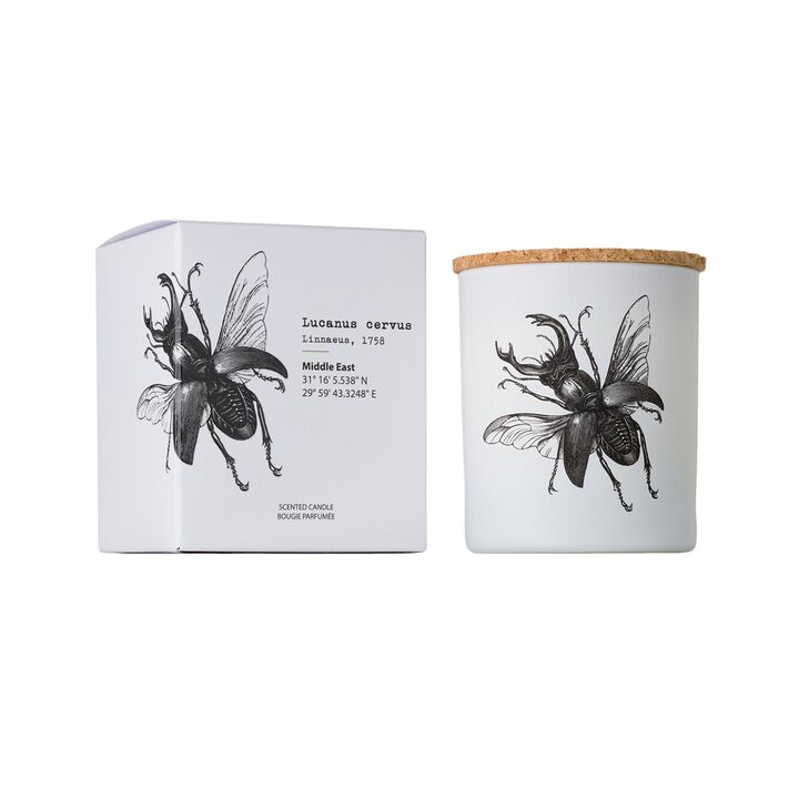 Candle in Jar INSECT 190gr LUCANUS CERVUS 3.35 diam. x 4.13 in