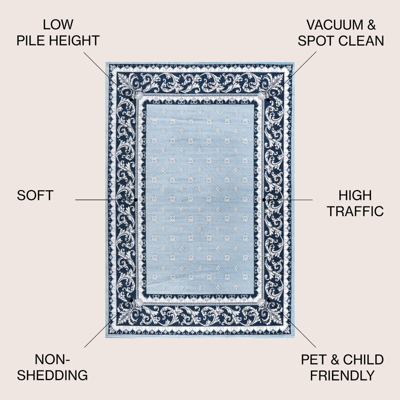 Acanthus French Border Area Rug